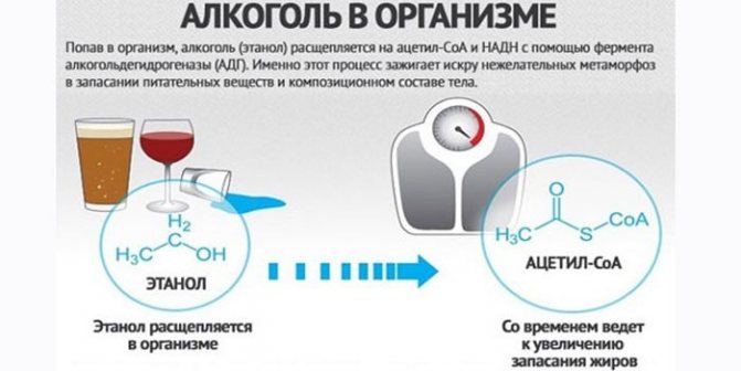 Алкоголь і схуднення