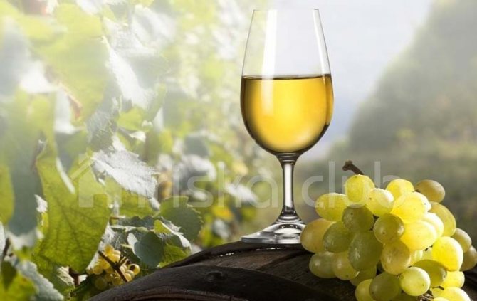 Біле вино в келиху стоїть на винній бочці і лежить гроно винограду