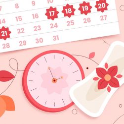 забеременеть во время месячных, Менструальный календарь