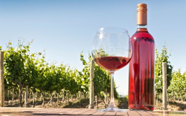 пляшка і келих вина на тлі виноградника