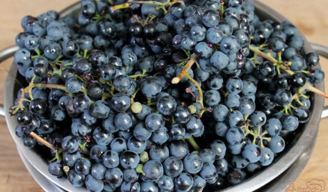 Чача з винограду в домашніх умовах - кращі і прості грузинські рецепти