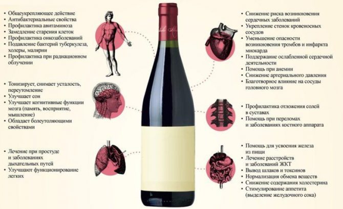 Чим корисно домашнє червоне вино з винограду