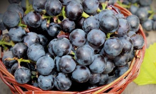 Домашнє вино з винограду з горілкою. Старовинна Виноградна настоянка на горілці