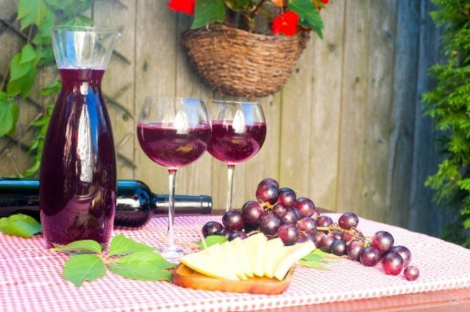 Домашнє виноградне вино фото
