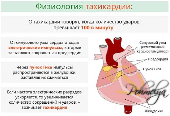 Якщо прискорене серцебиття з похмілля