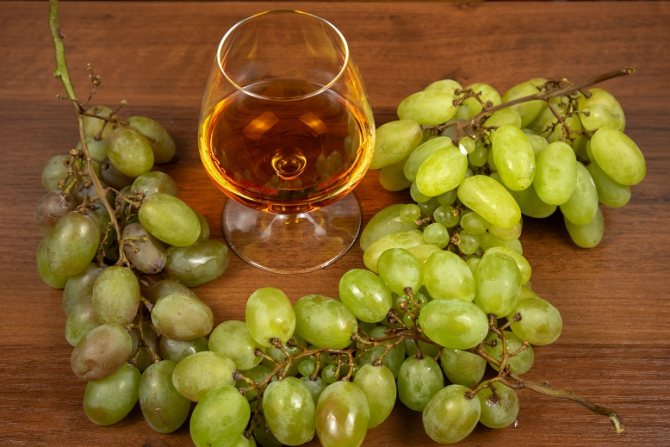 фото коньяку и білого винограду