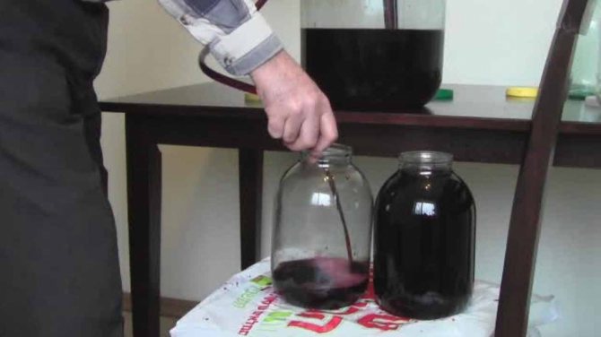 Як поставити своє вино з винограду.  Секрети домашнього Виноробство
