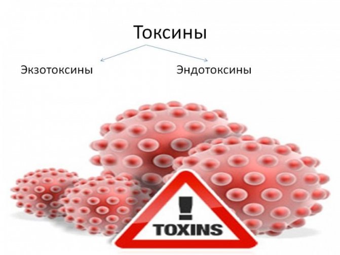 Як вивести токсини з організму