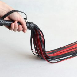 Какие бывают плетки