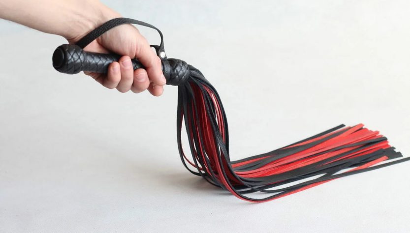 Какие бывают плетки