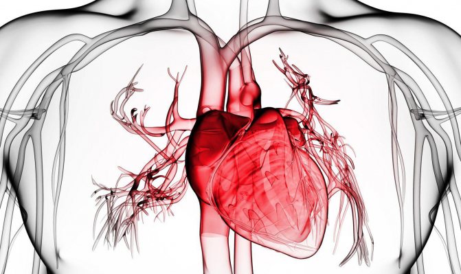 Якої шкоди куріння завдає серцево-судинній системі?