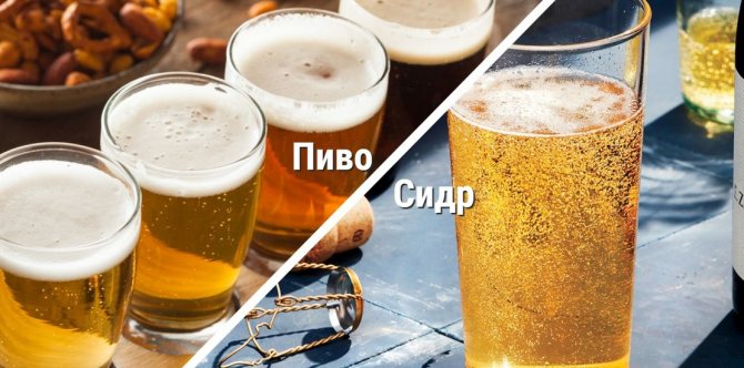 колаж порівняння пива и сидру