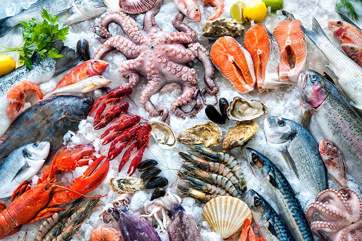 Разнообразие морепродуктов