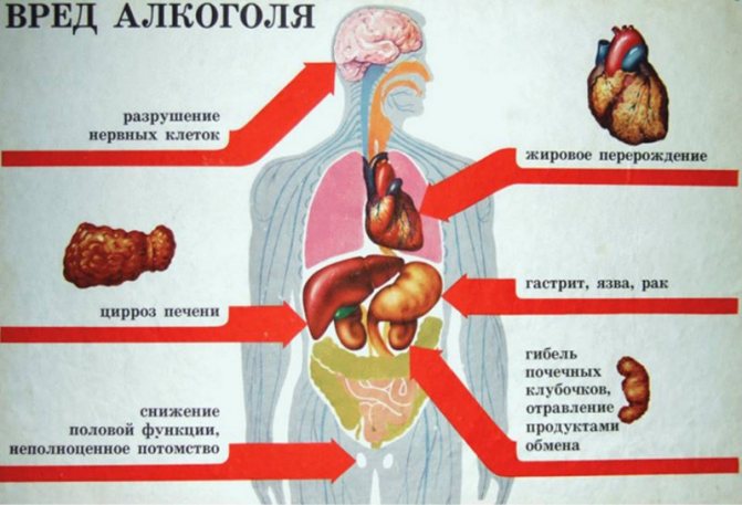 Чи можна різко кідаті пити алкоголь