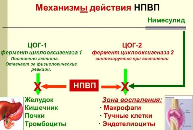 Німесил (Nimesil). Як приймати порошок, інструкція, аналоги, ціна