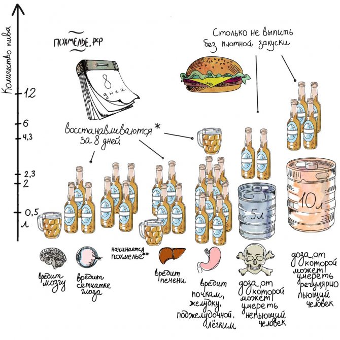 Норма алкоголю.  Інфографіка.  пиво