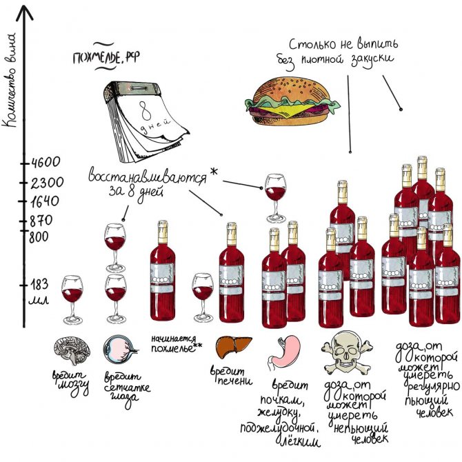Норма алкоголю.  Інфографіка.  вино
