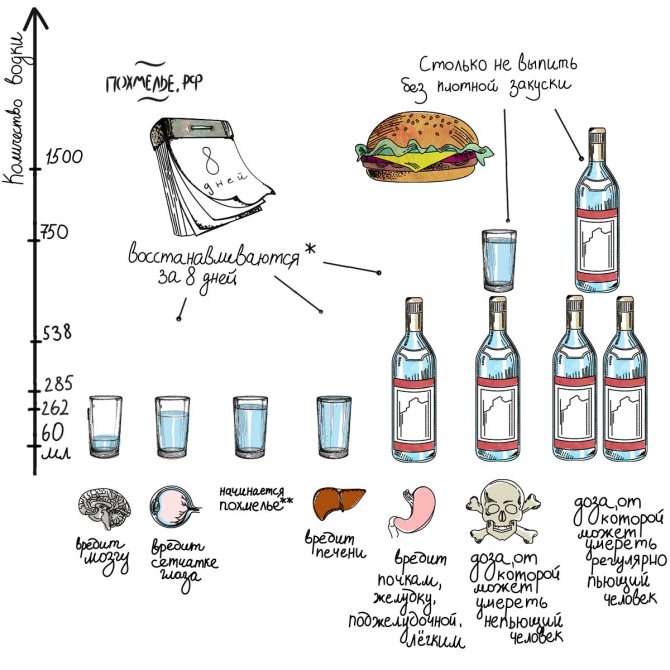 Норма алкоголю.  Інфографіка.  горілка