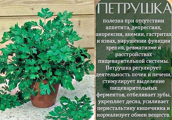 Одутлість особи. Причини якого захворювання, як позбутися. Фото, лікування