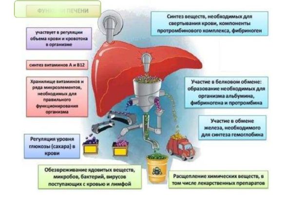 Оральні контрацептиви и алкоголь