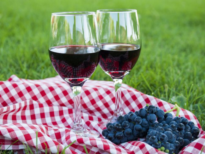 Пара келихів домашнього вина і гроно винограду Ізабелла