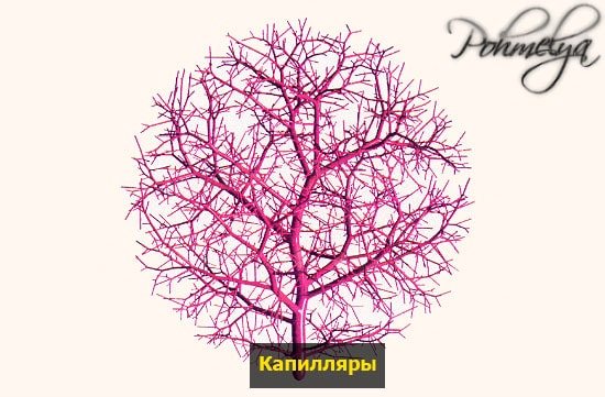 Чому червоніє обличчя після алкоголю у жінок