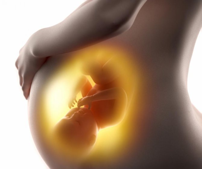 Наслідки вживання алкоголю на ранніх термінах вагітності