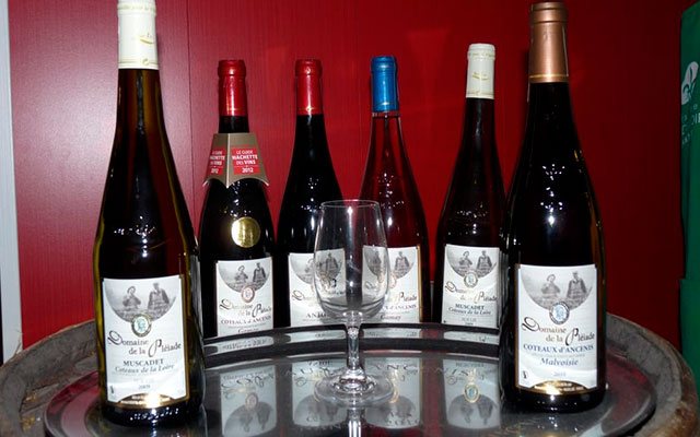 Рубінове вино Coteaux d'Ancenis