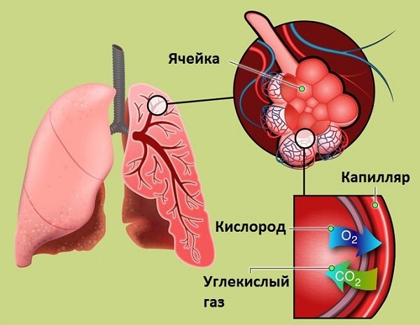 схема