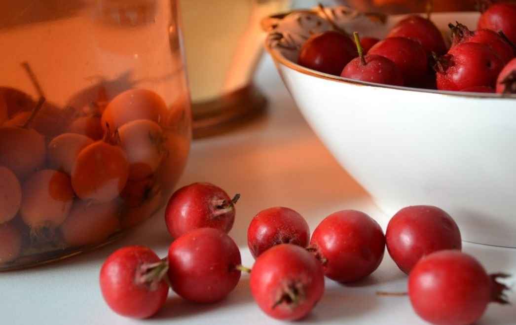 Зібрати ягоди необхідно встигнути до перших заморозків, так як пошкоджені холодом плоди не підлягають зберіганню