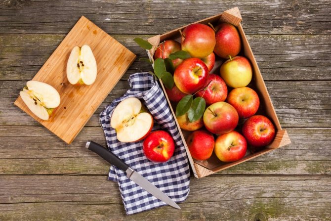 Технологія Приготування браги з яблук