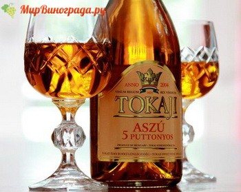 Токайське Вино Віді