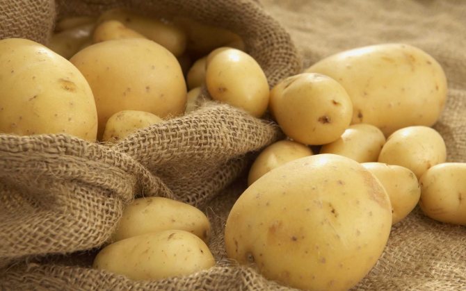 Умовна користь картоплі