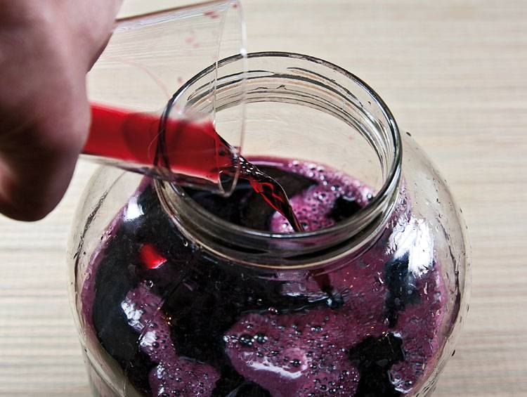 Вино домашнє з соку винограду простий рецепт фото