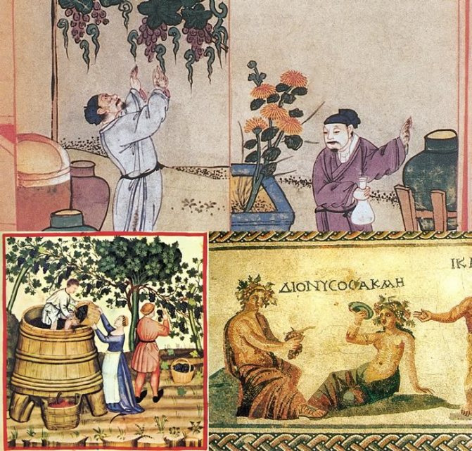 Виноробство в давнини