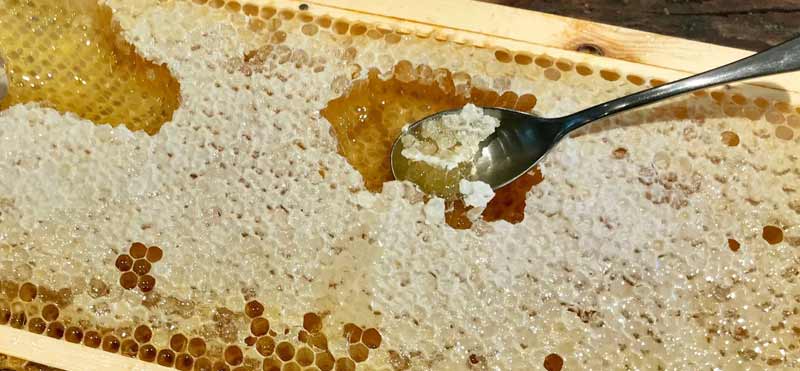 внутрішнє застосування меду
