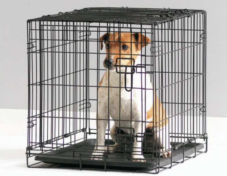 Savic дог коттедж: клетка для собак (товар магазина zoomagazin.dp.ua) 
