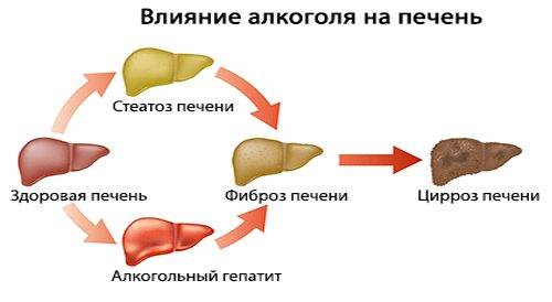 шкода алкоголю